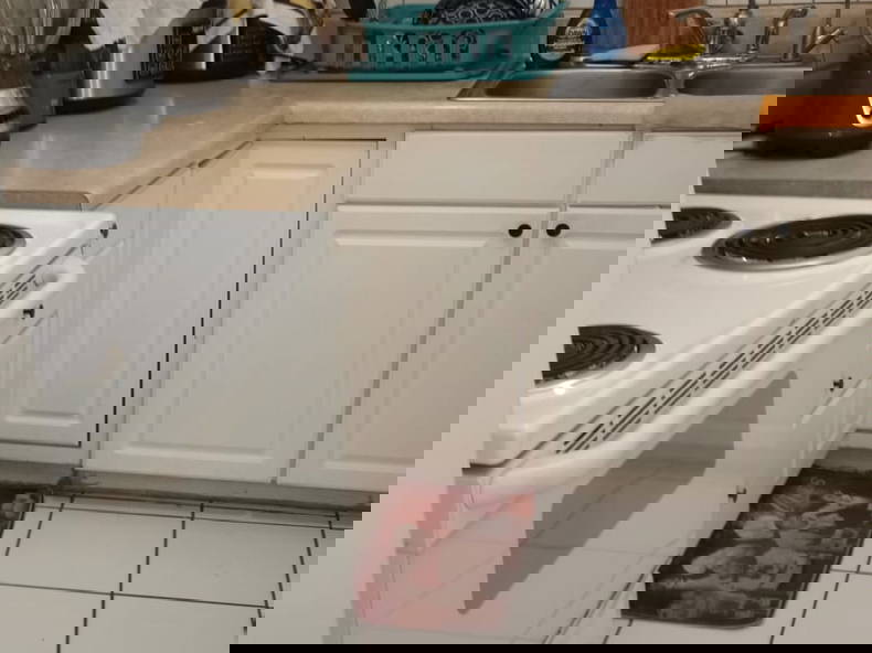 Coliving Port Charlotte 454290-3