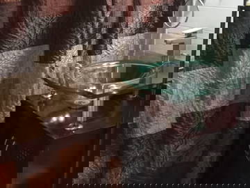 Coliving Port Charlotte 454290-4