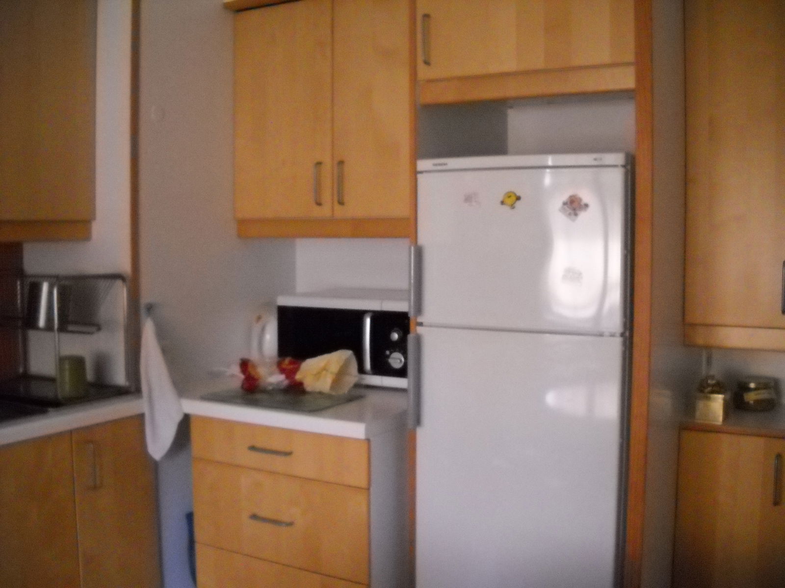 Colocación Bron 75638
