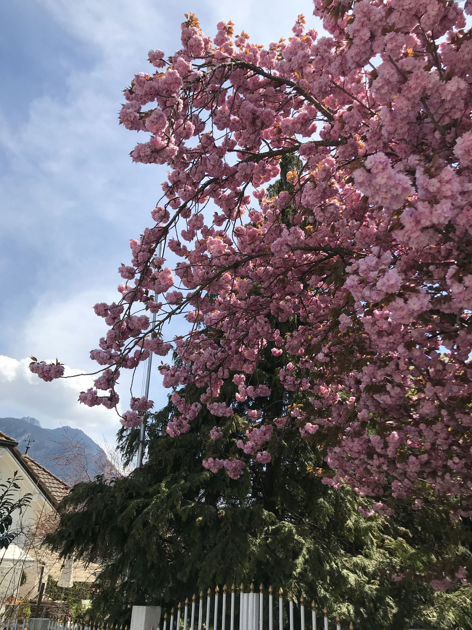 Quedarse En Casa Noville 499546