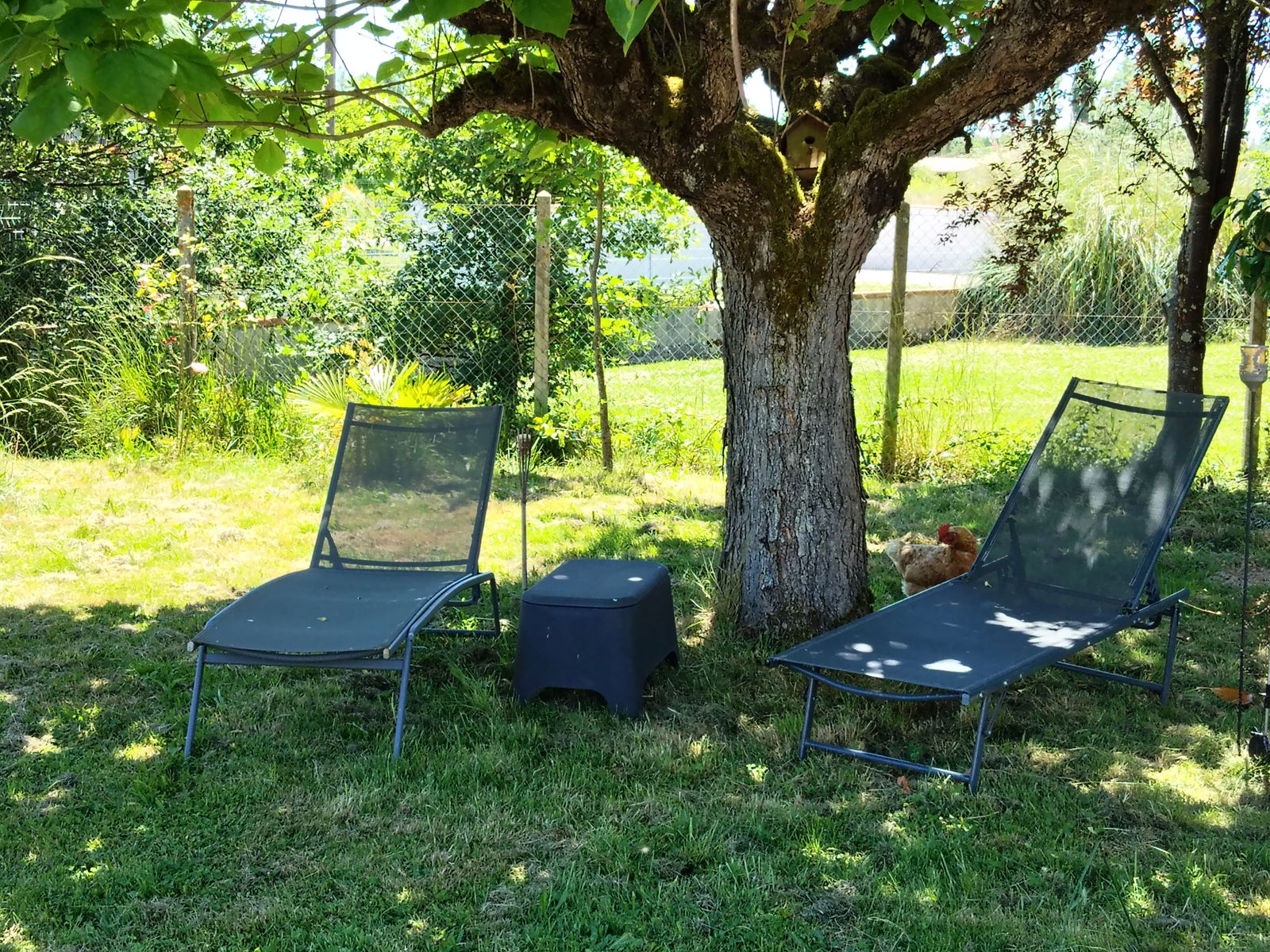 Quedarse En Casa Montauban 583889