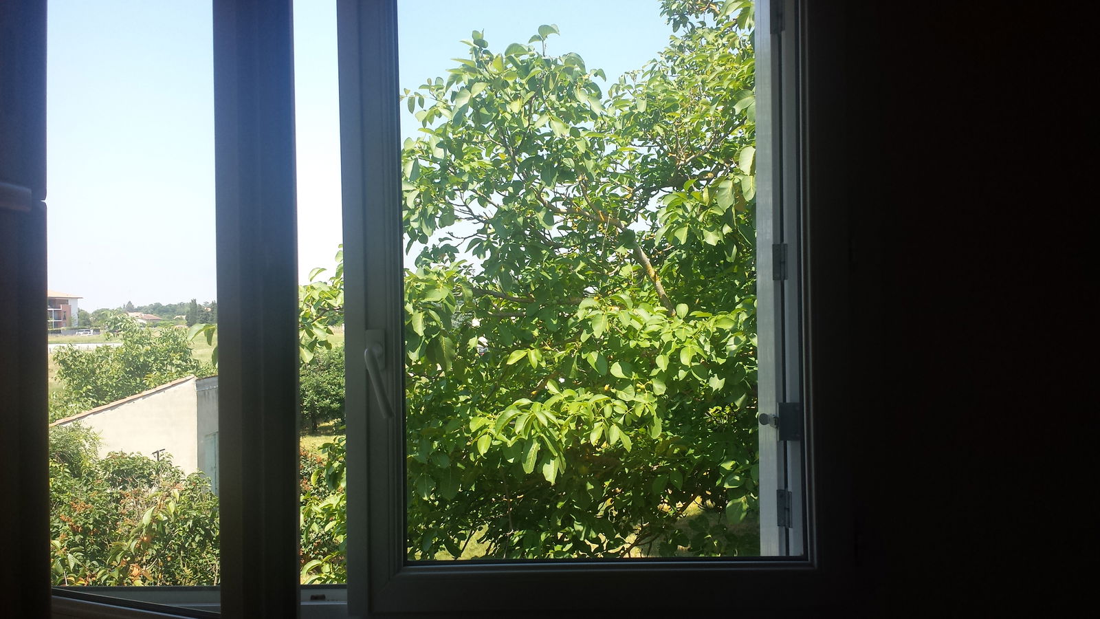 Quedarse En Casa Toulouse 105305