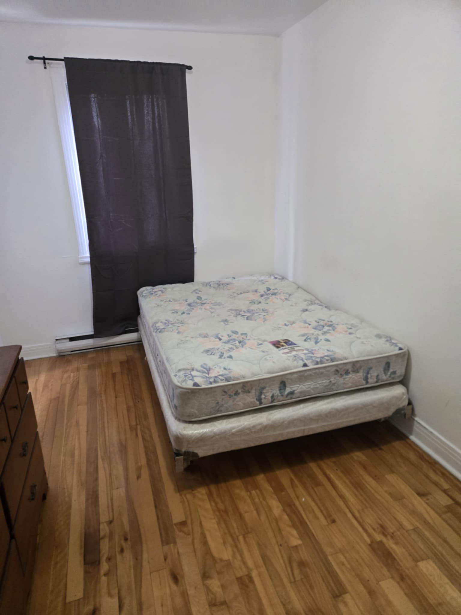 Colocación Montréal 564167