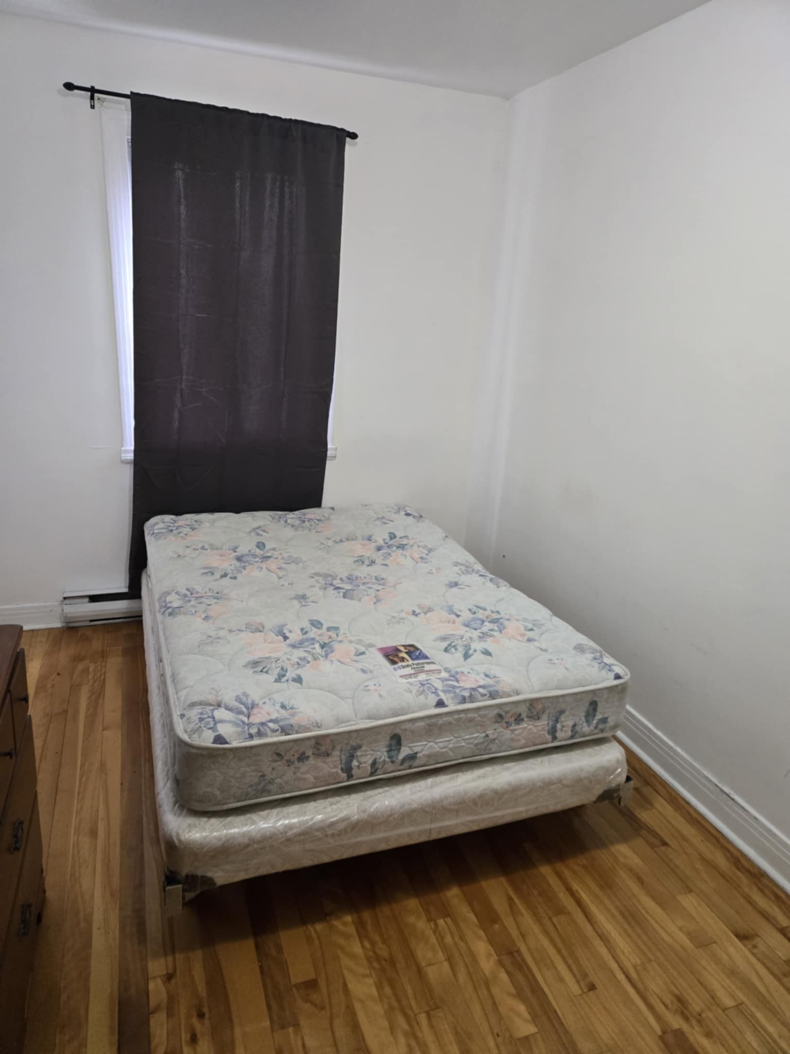 Colocación Montréal 564167
