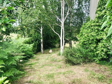 Chambre D'hôte Cantonigròs 636063-15