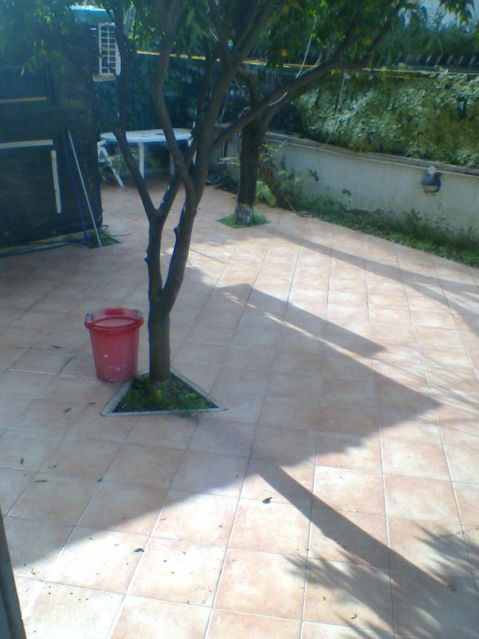 Quedarse En Casa Roma 230178