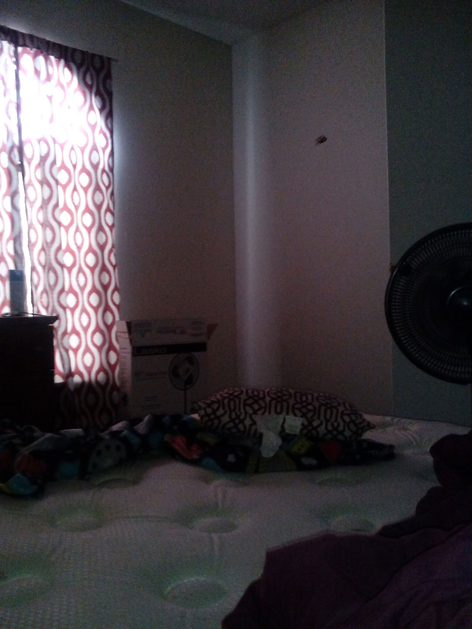 Quedarse En Casa Lewisville 136336