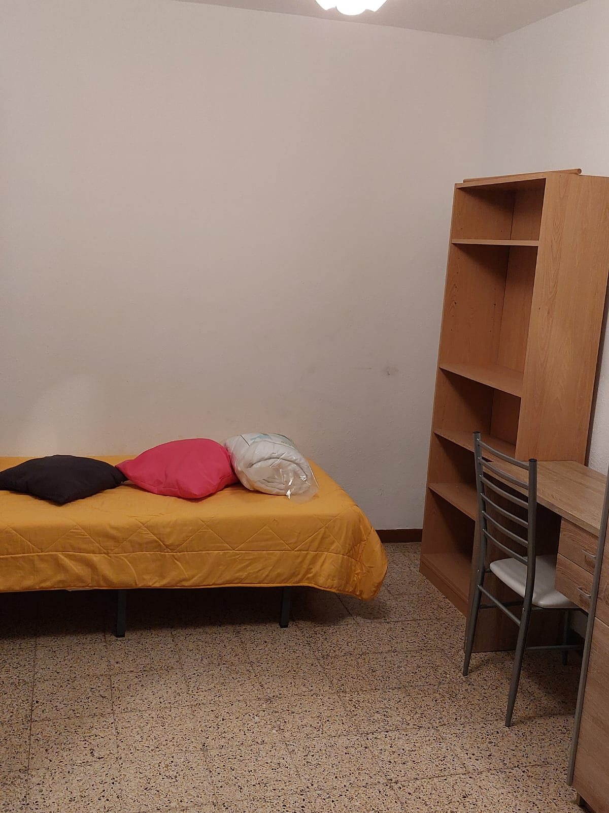 Colocación Sant Vicent del Raspeig 427495