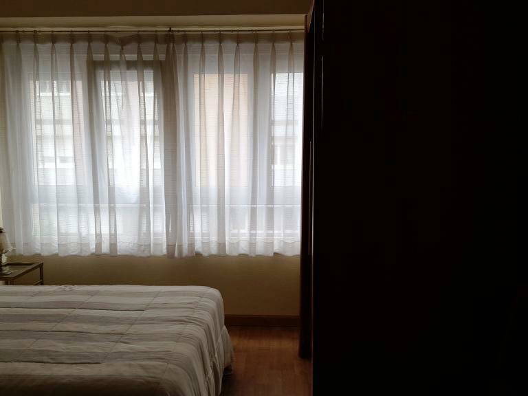 Kolokasie Gijón 143634-4