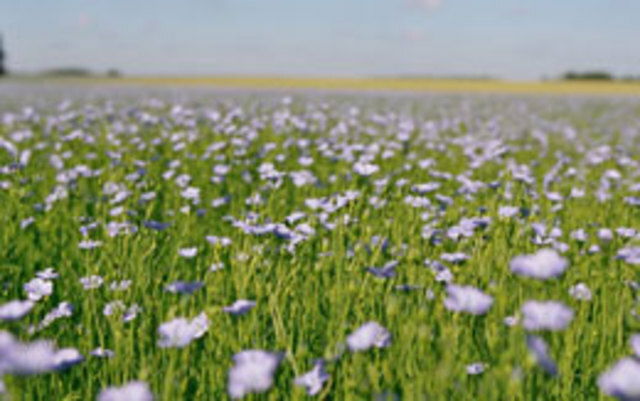 Habitaciones De Huéspedes Vassonville 49171