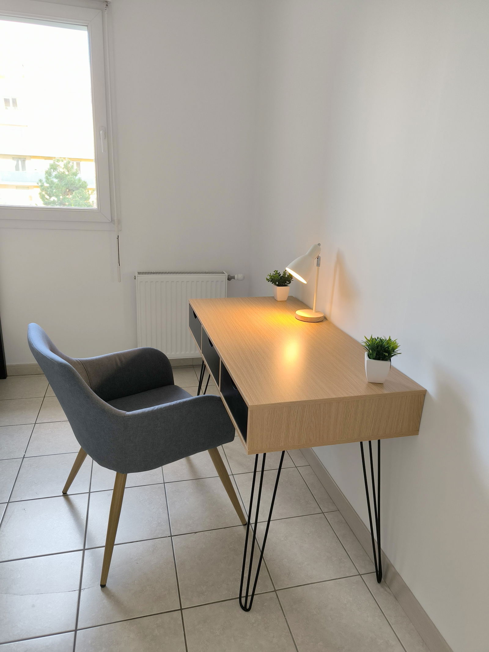 Colocación Grenoble 459997