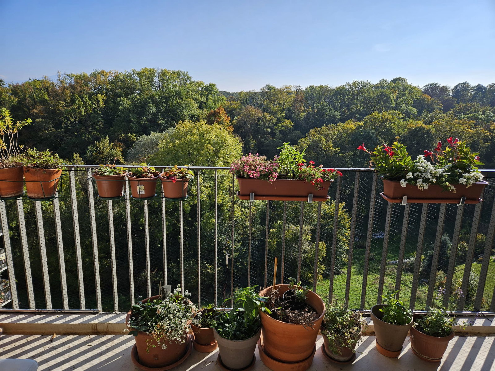 Hemvistelse Nyon 630318