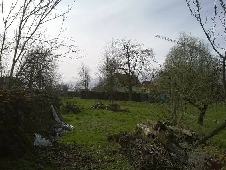 Chambre Chez L'habitant Ettendorf 141254-4