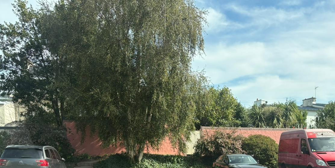 Quedarse En Casa Brest 182737