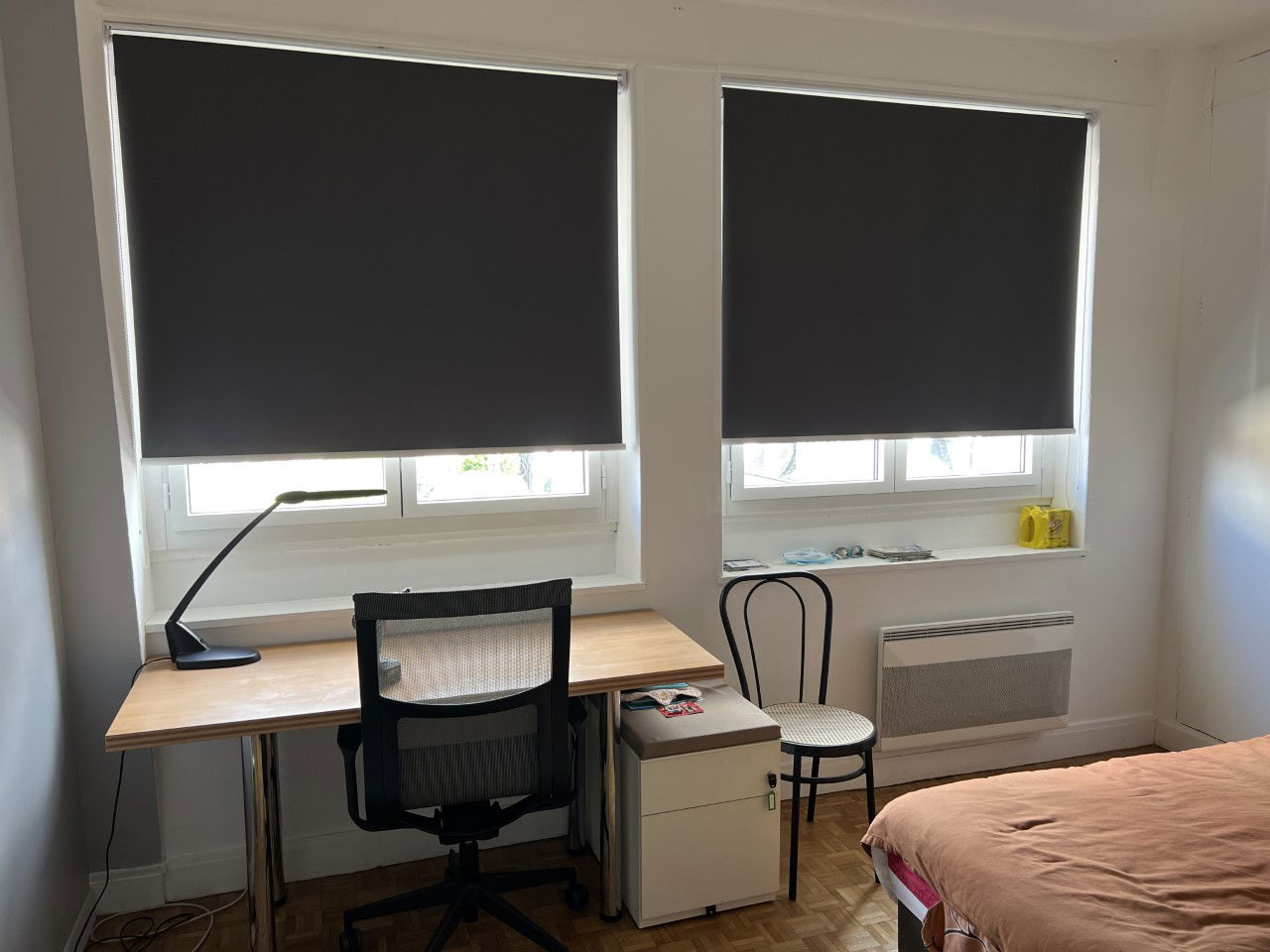 Colocation Melun 262568