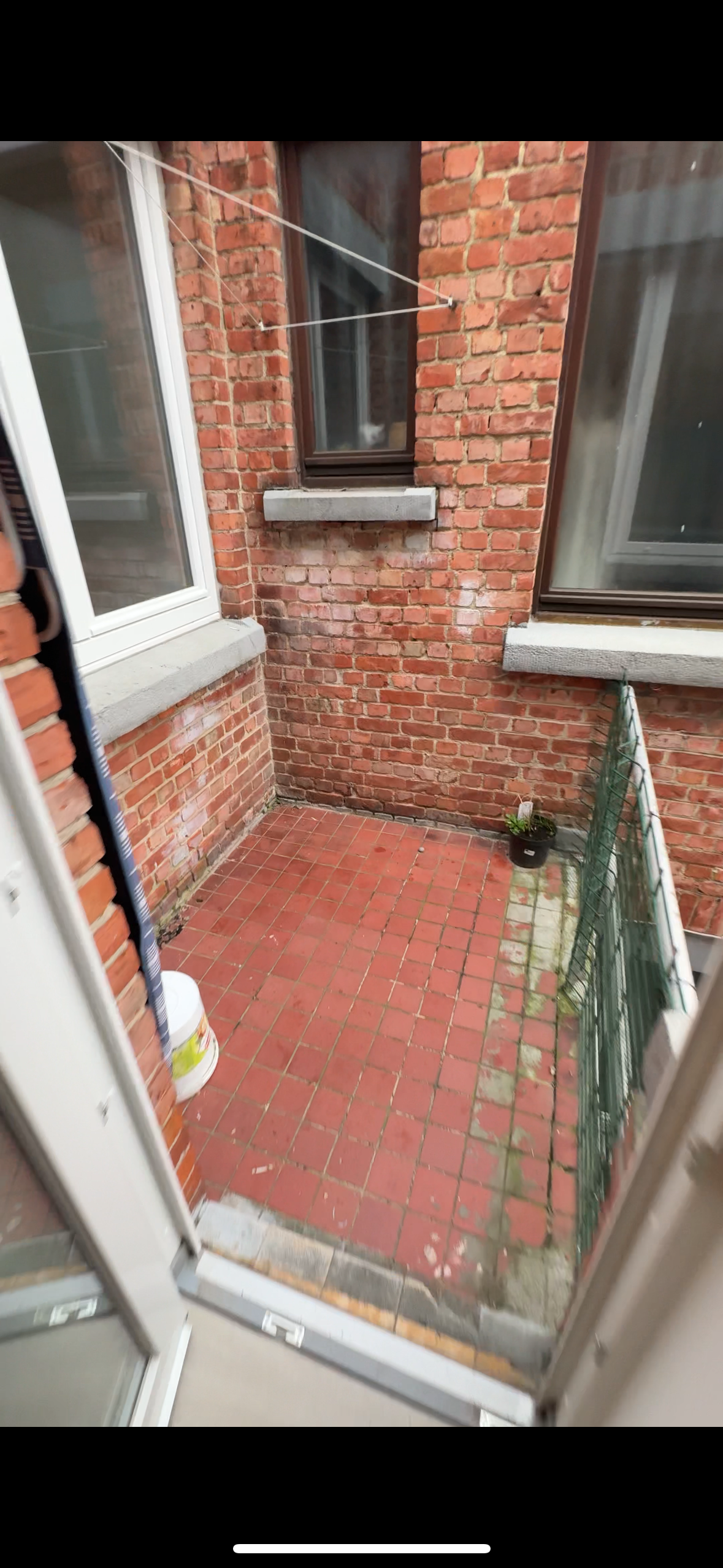 Kolokasie Waremme 487678