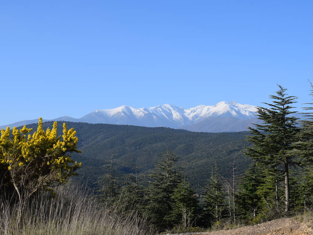 Gastgezin Corbère-les-Cabanes 265071-1