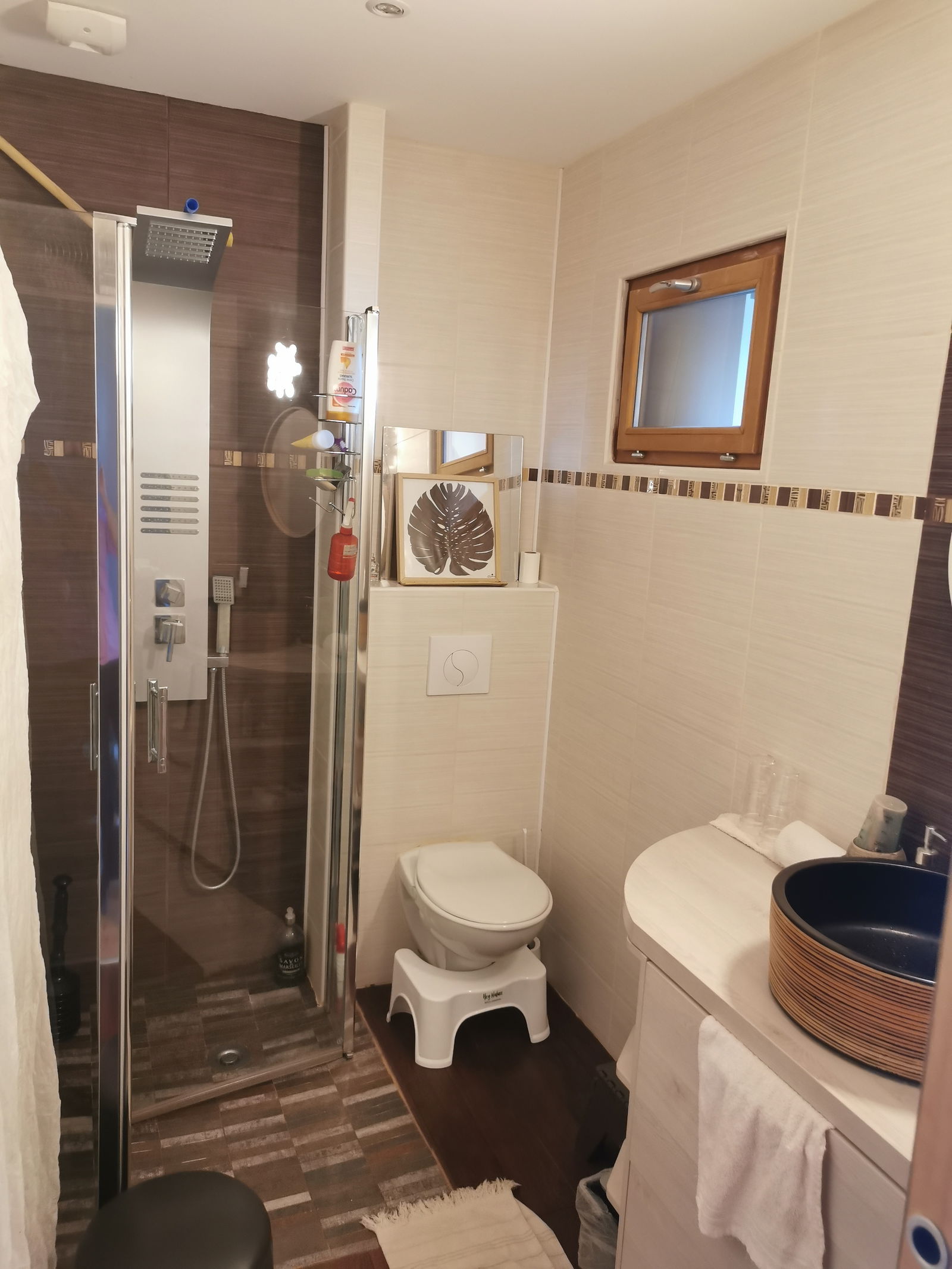 Colocatie Charvieu-Chavagneux 246866