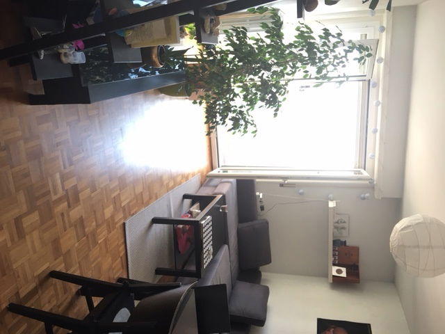 Colocation Lausanne 172875