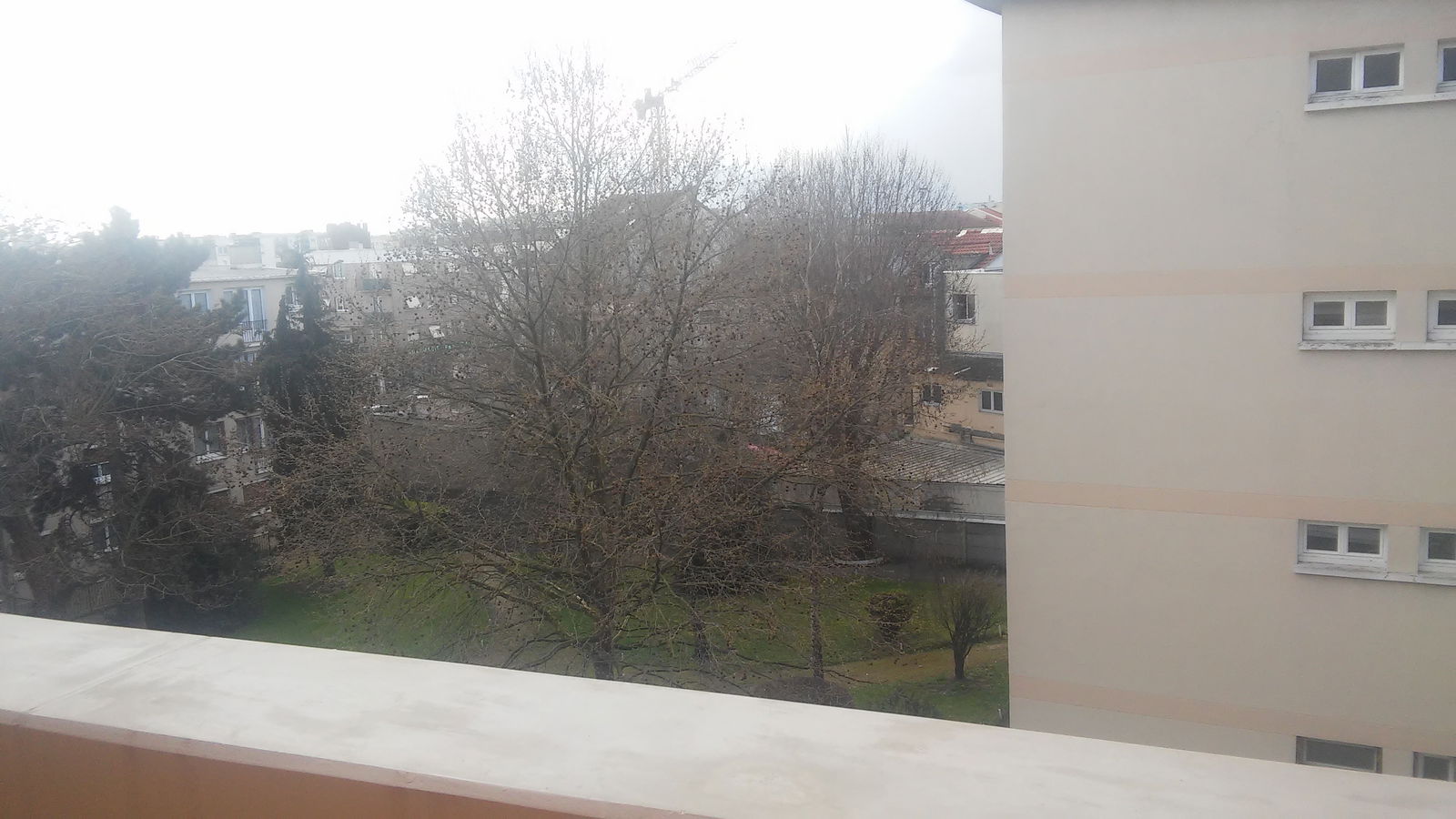 Kolokation Drancy 130768