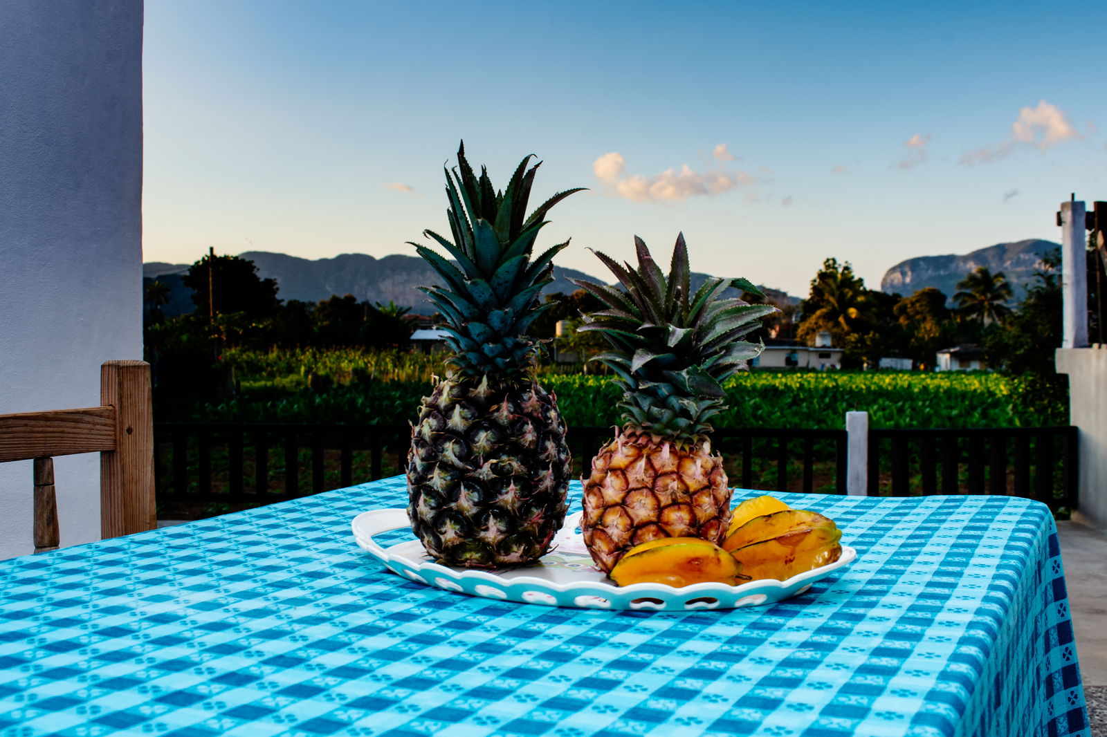 Gastfamilie Viñales 266220