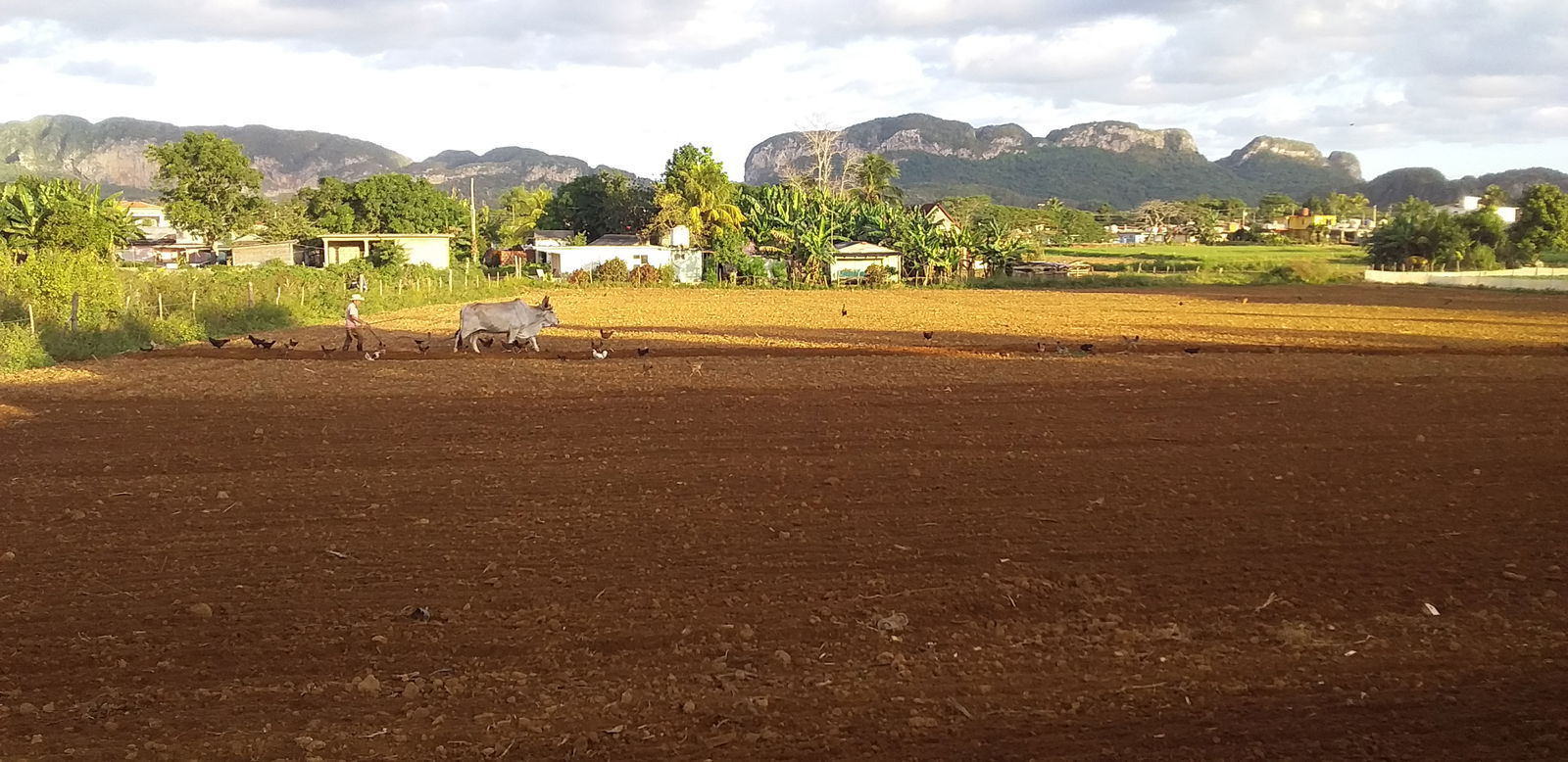 Gastfamilie Viñales 266220