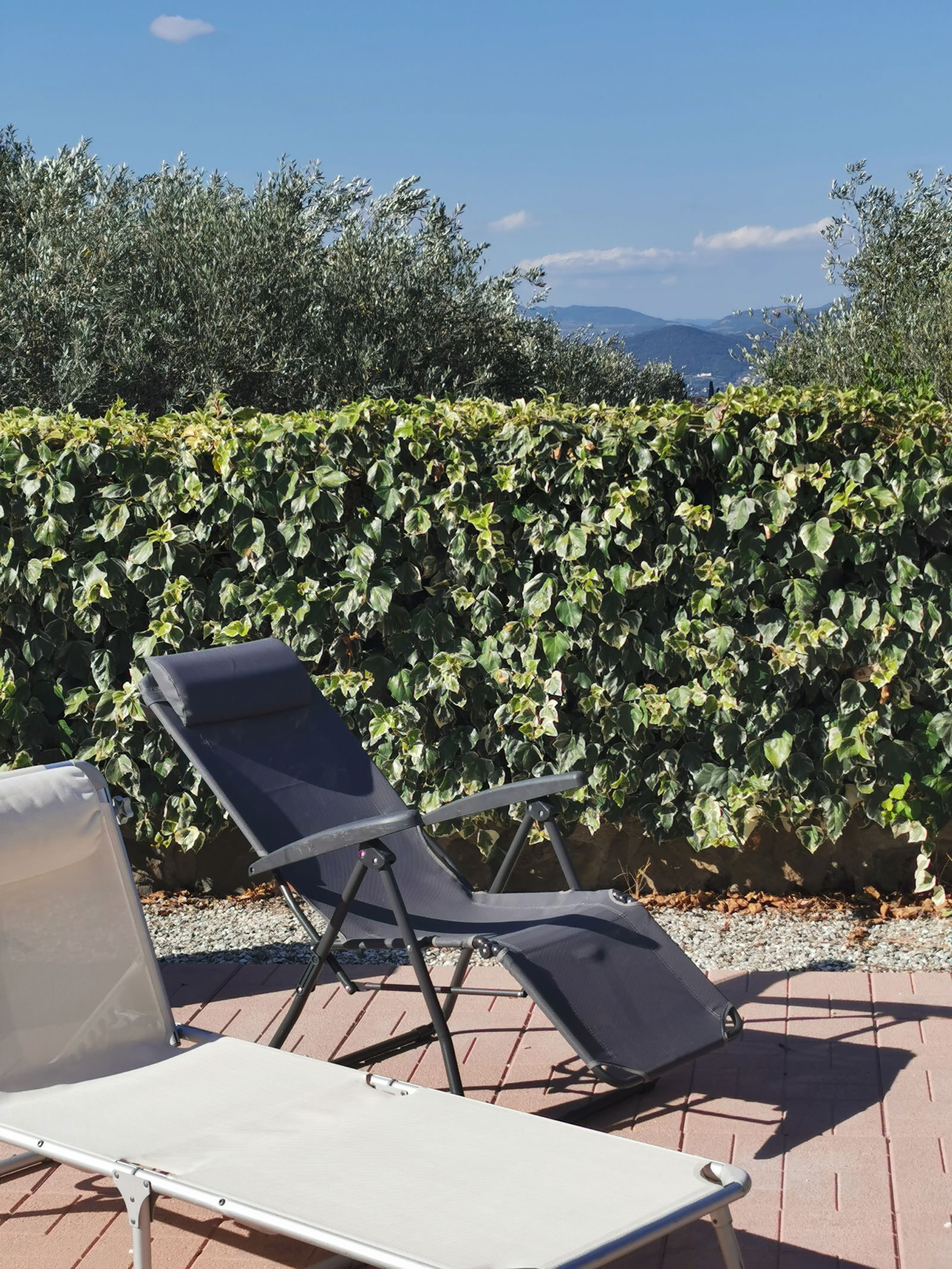 Unabhängiges Studio Città Metropolitana di Firenze 265832