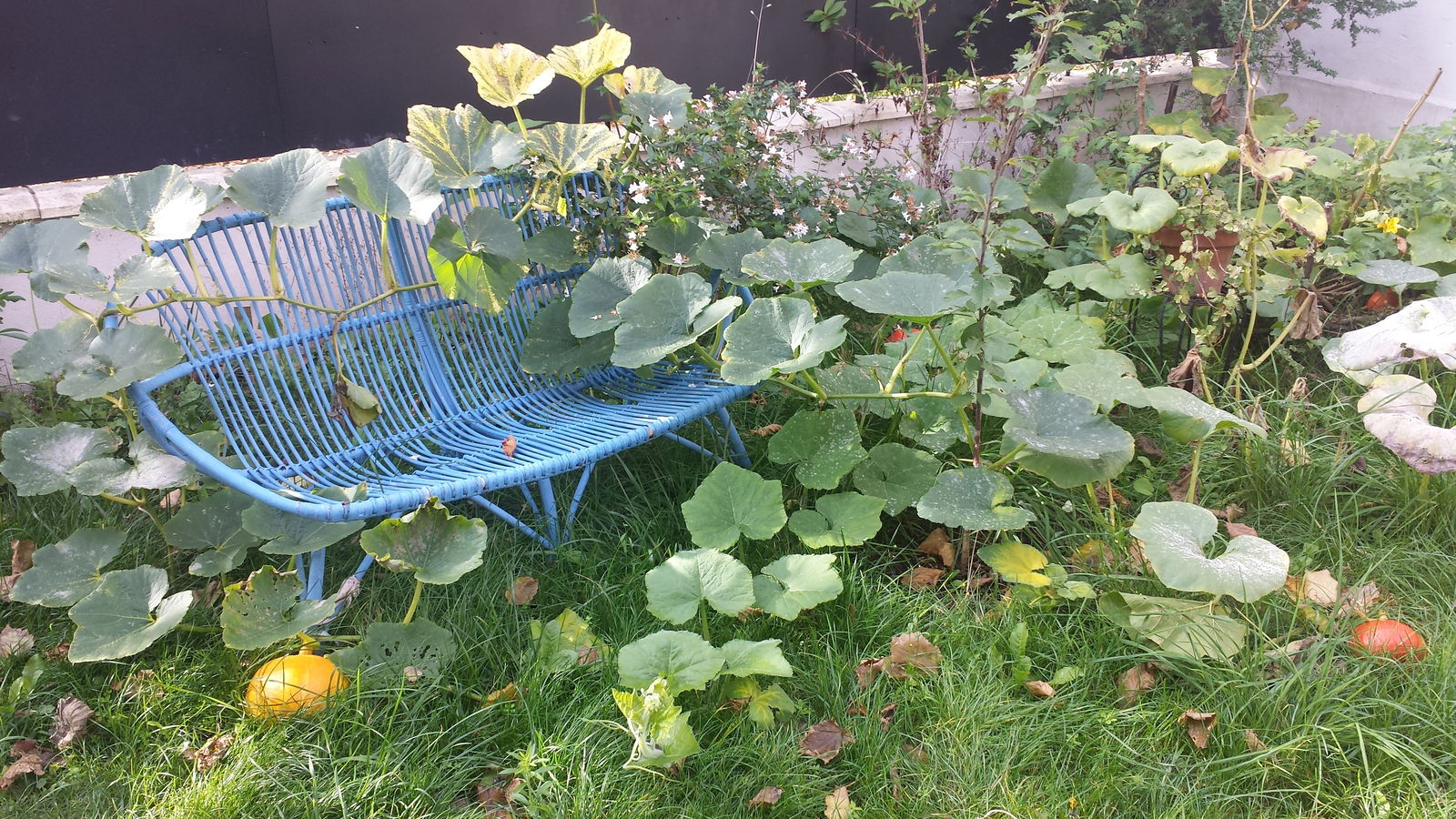 Kolokation Montreuil 194271