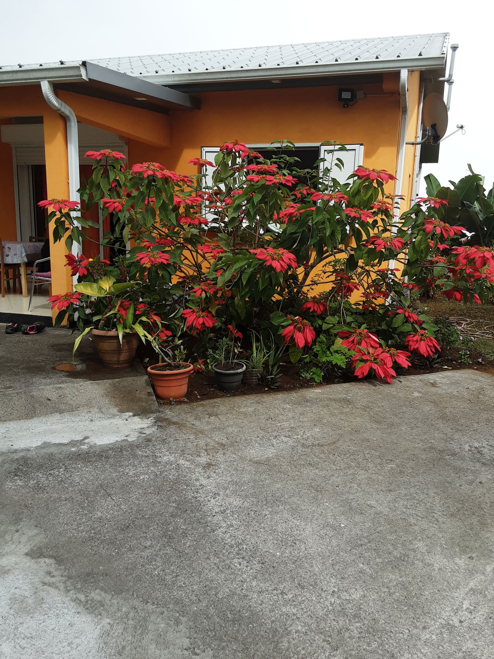 Gastfamilie Sainte-Clotilde 211210