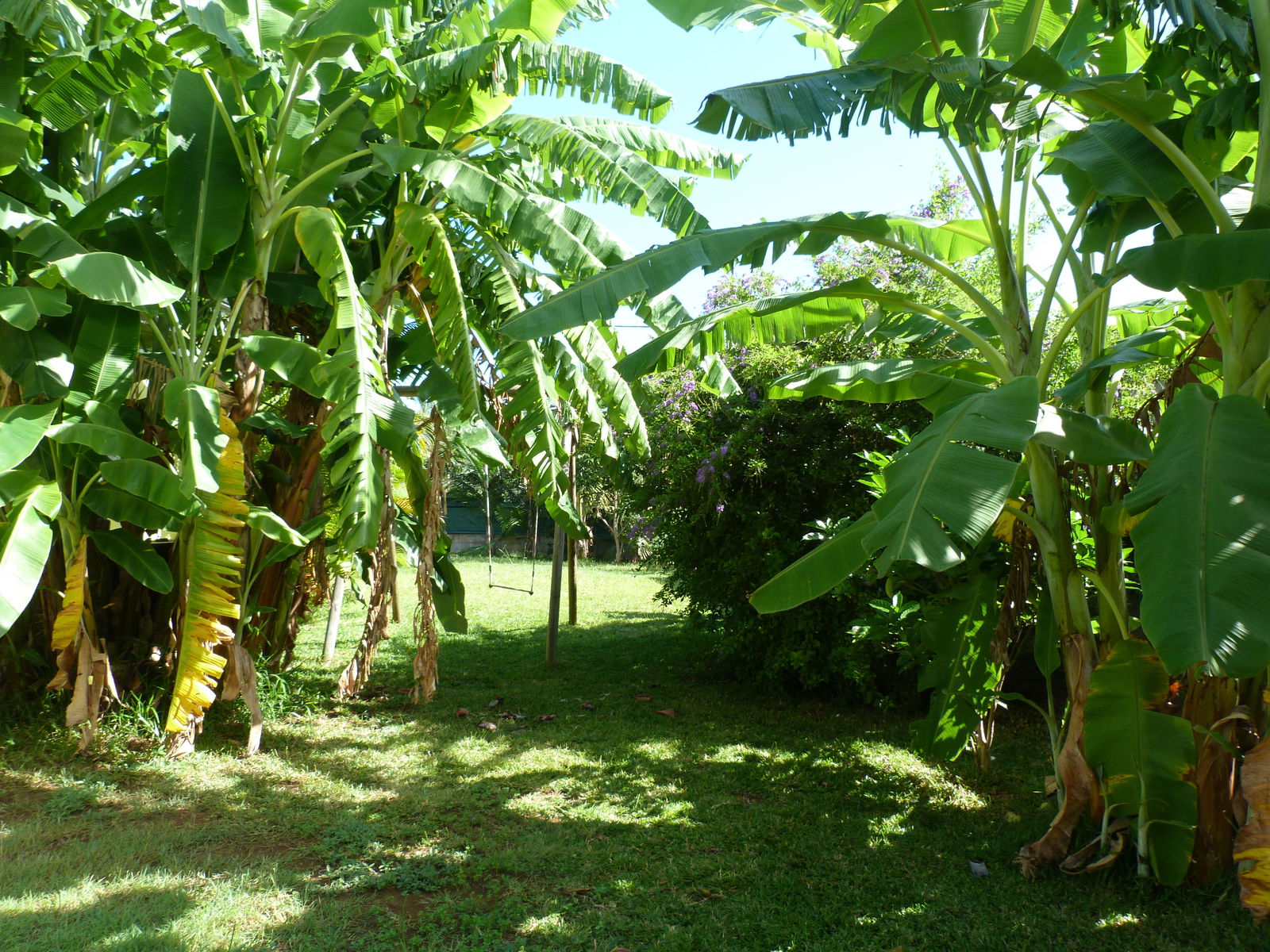 Homestay Saint Pierre 135618