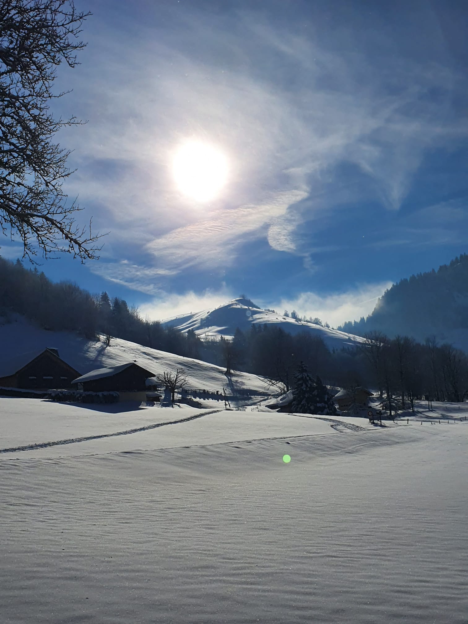 Unabhängiges Studio Thonon-les-Bains 263148