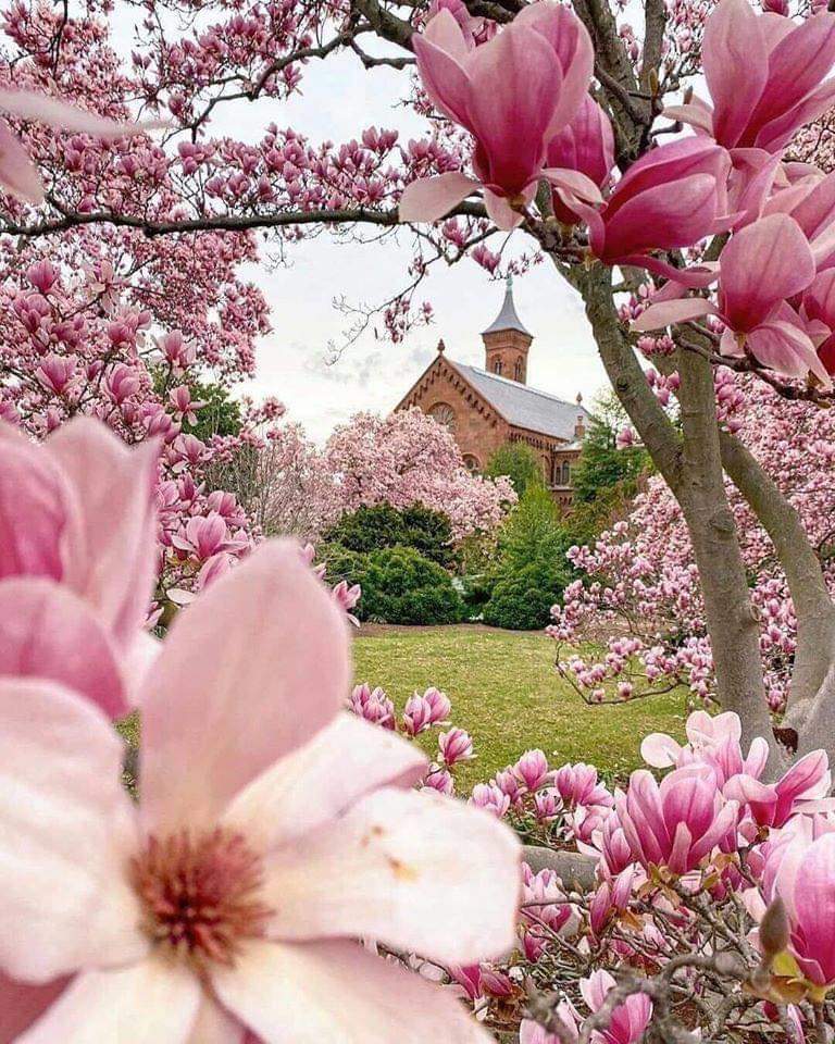 Unabhängiges Studio Thonon-les-Bains 263148