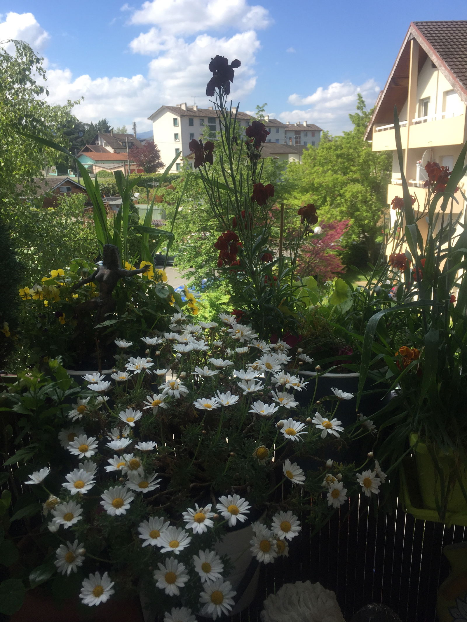 Unabhängiges Studio Thonon-les-Bains 263148