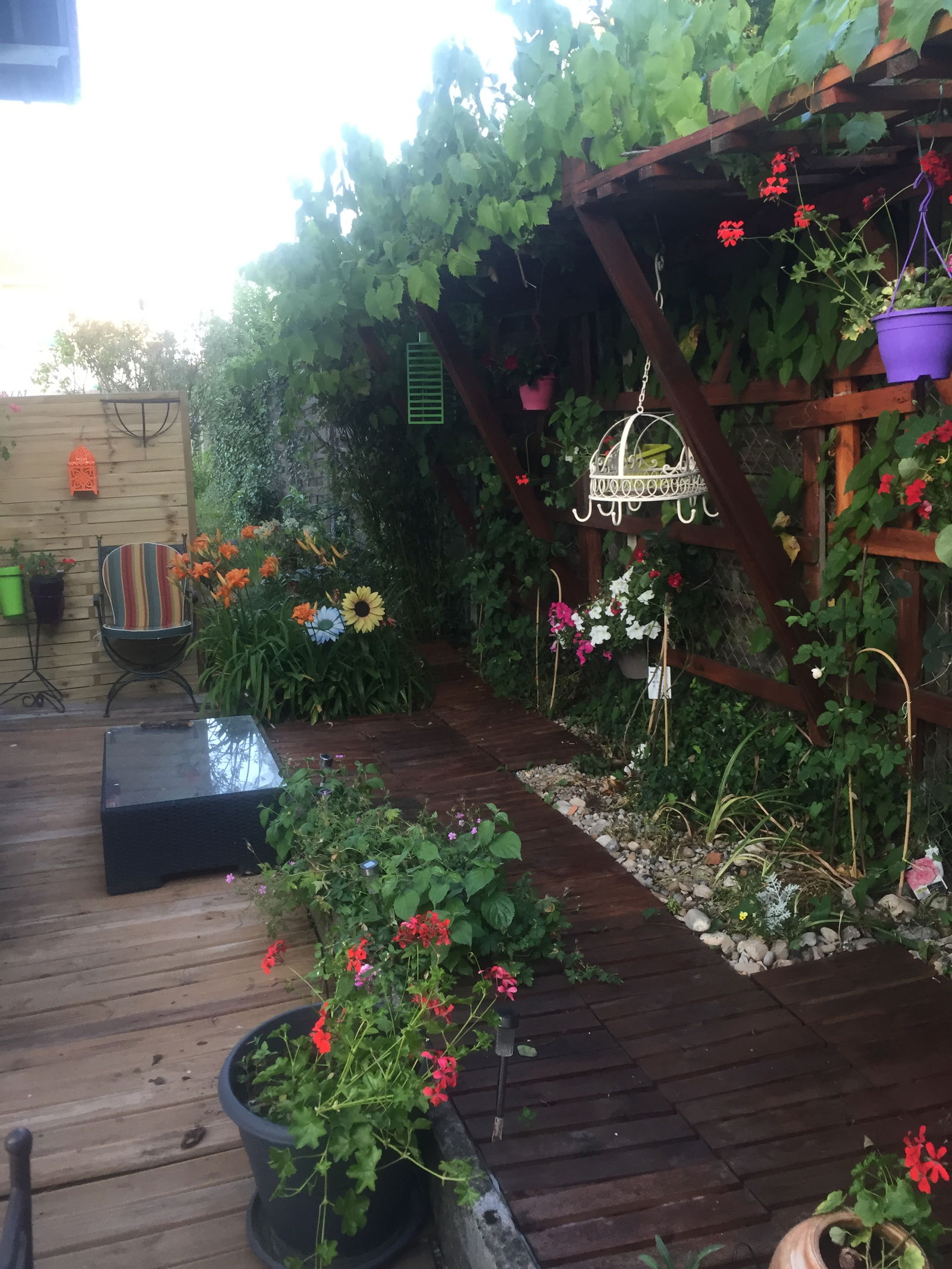 Unabhängiges Studio Thonon-les-Bains 263148