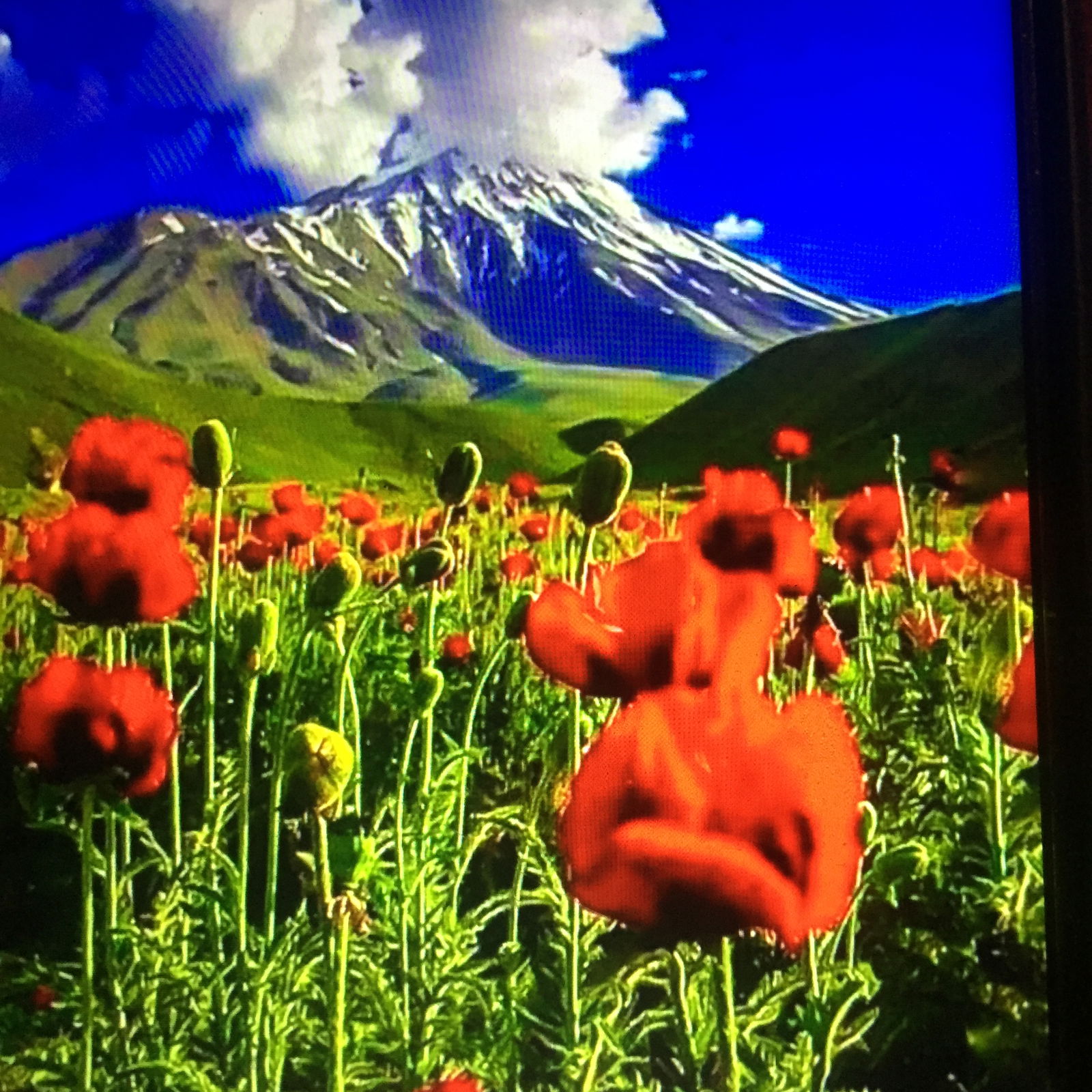 Unabhängiges Studio Thonon-les-Bains 263148