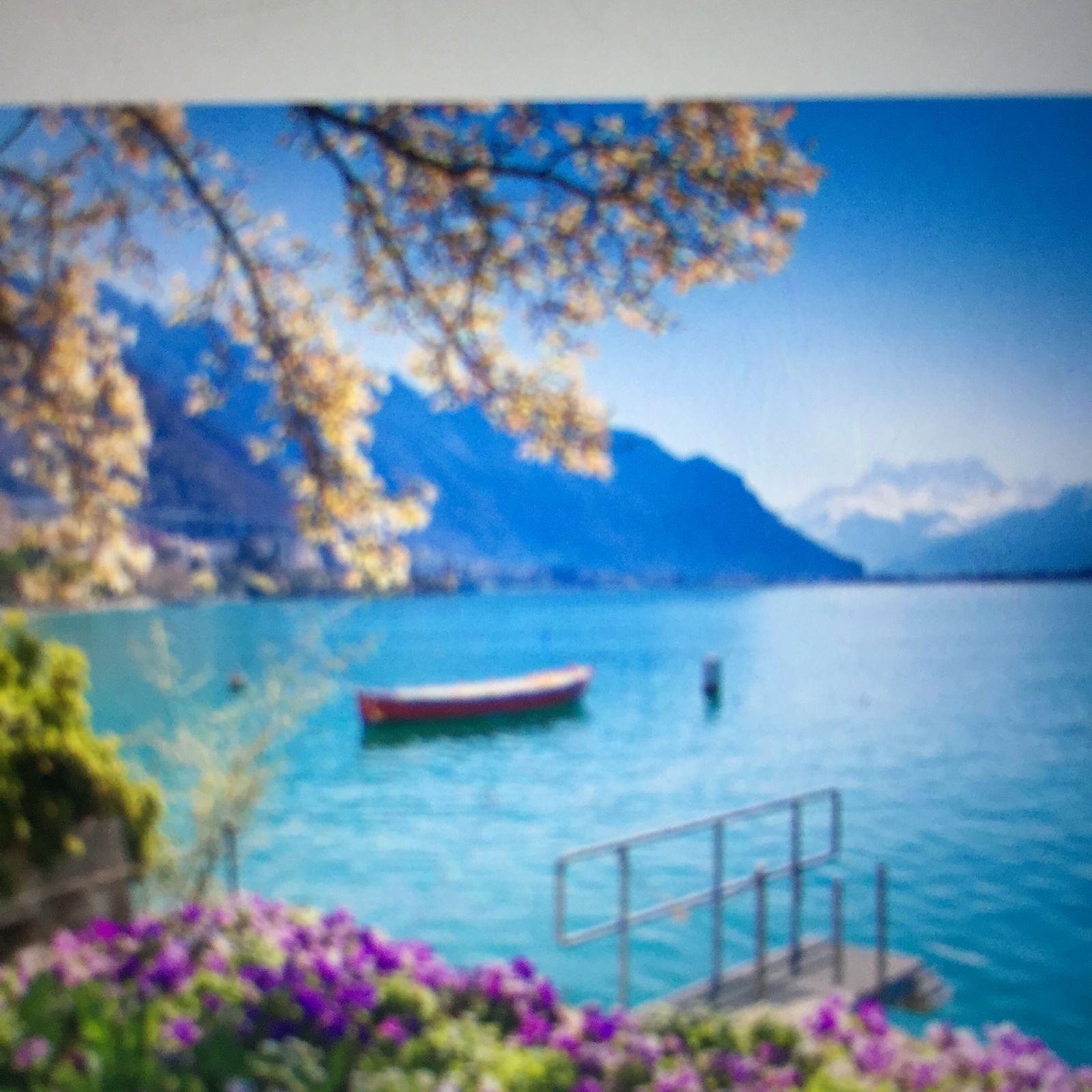 Unabhängiges Studio Thonon-les-Bains 263148