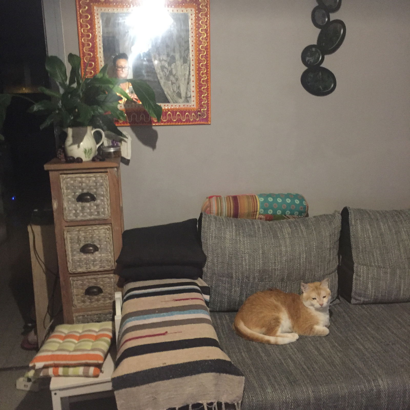 Unabhängiges Studio Thonon-les-Bains 263148