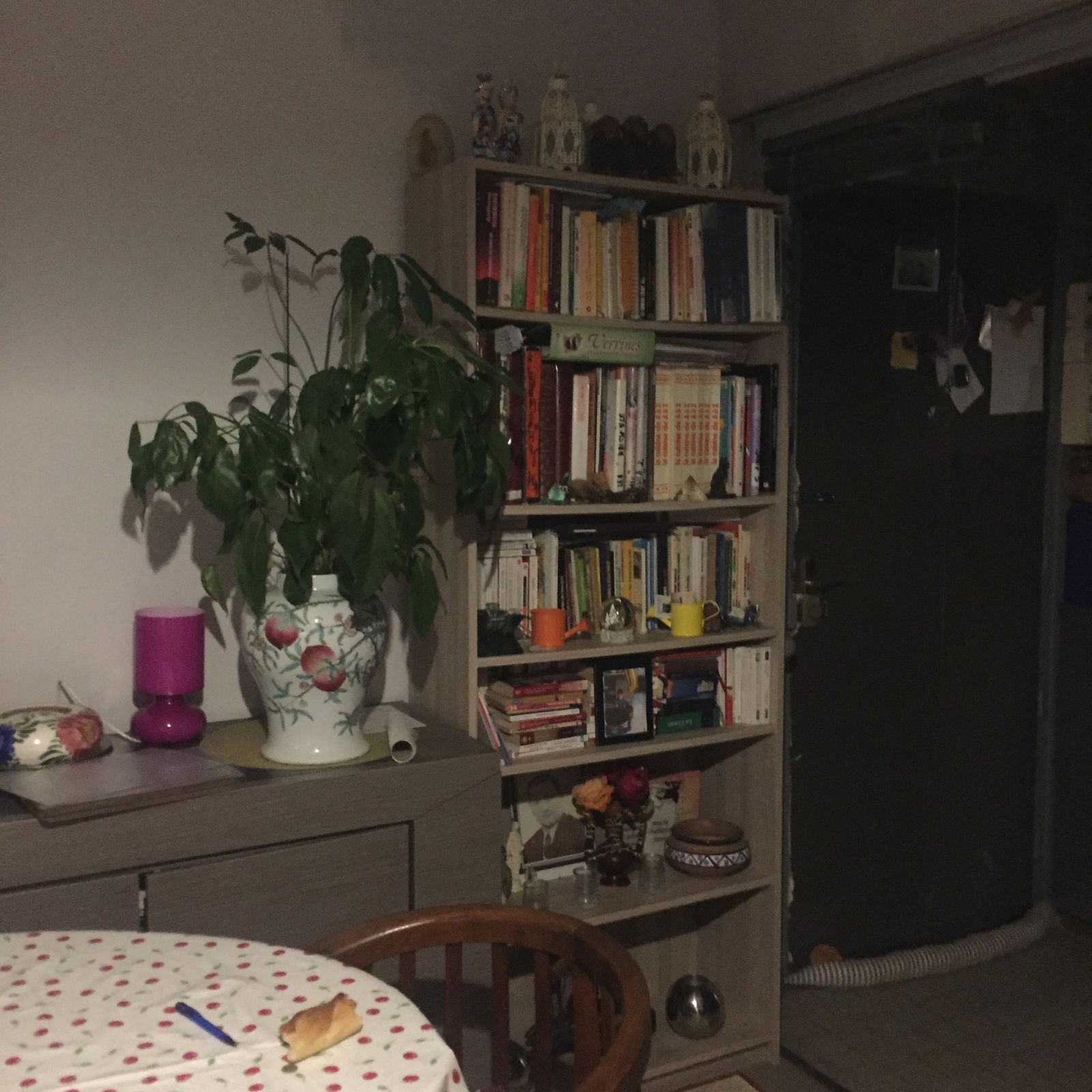 Unabhängiges Studio Thonon-les-Bains 263148