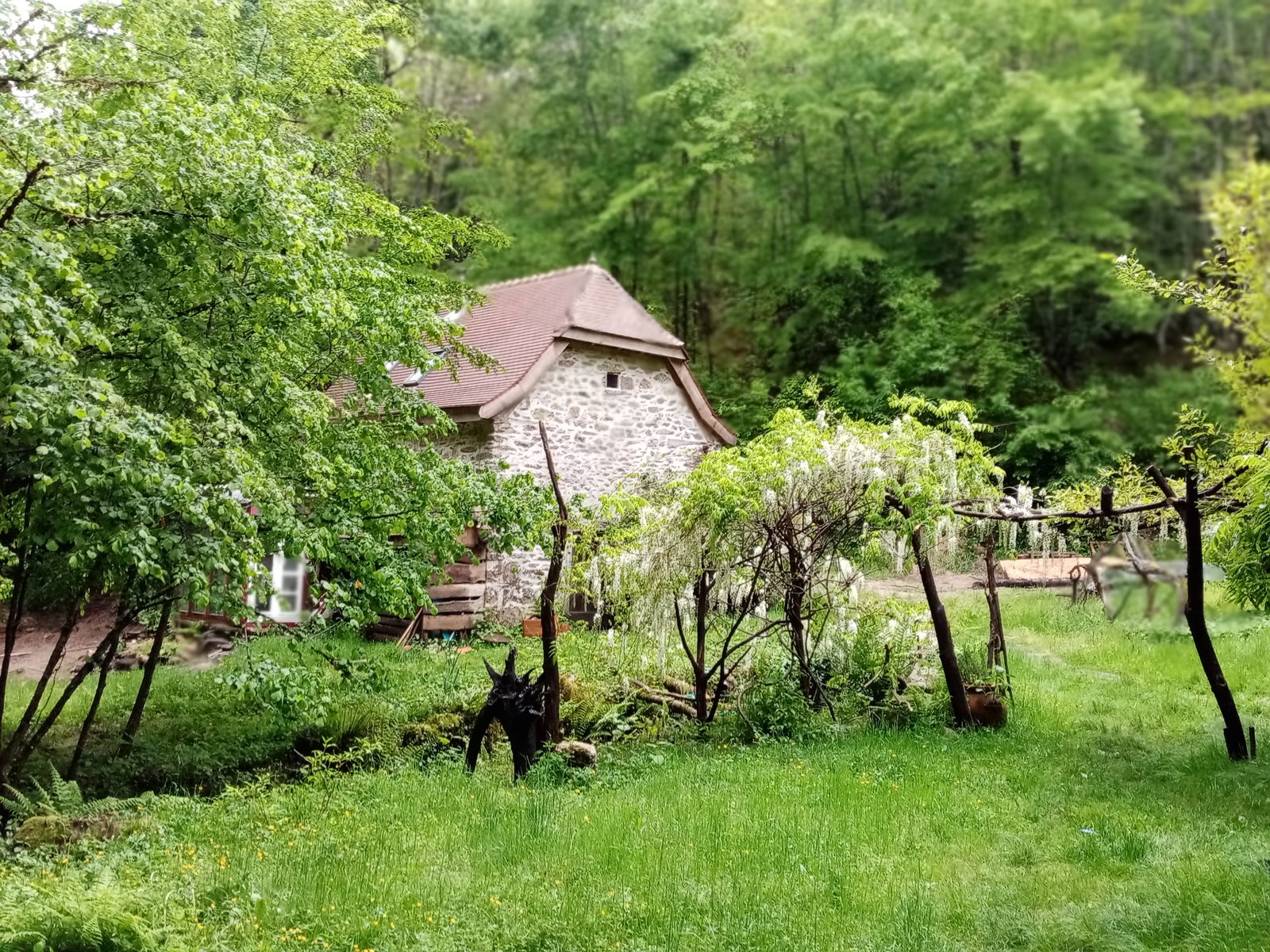 Unabhängiges Studio Bar 262389