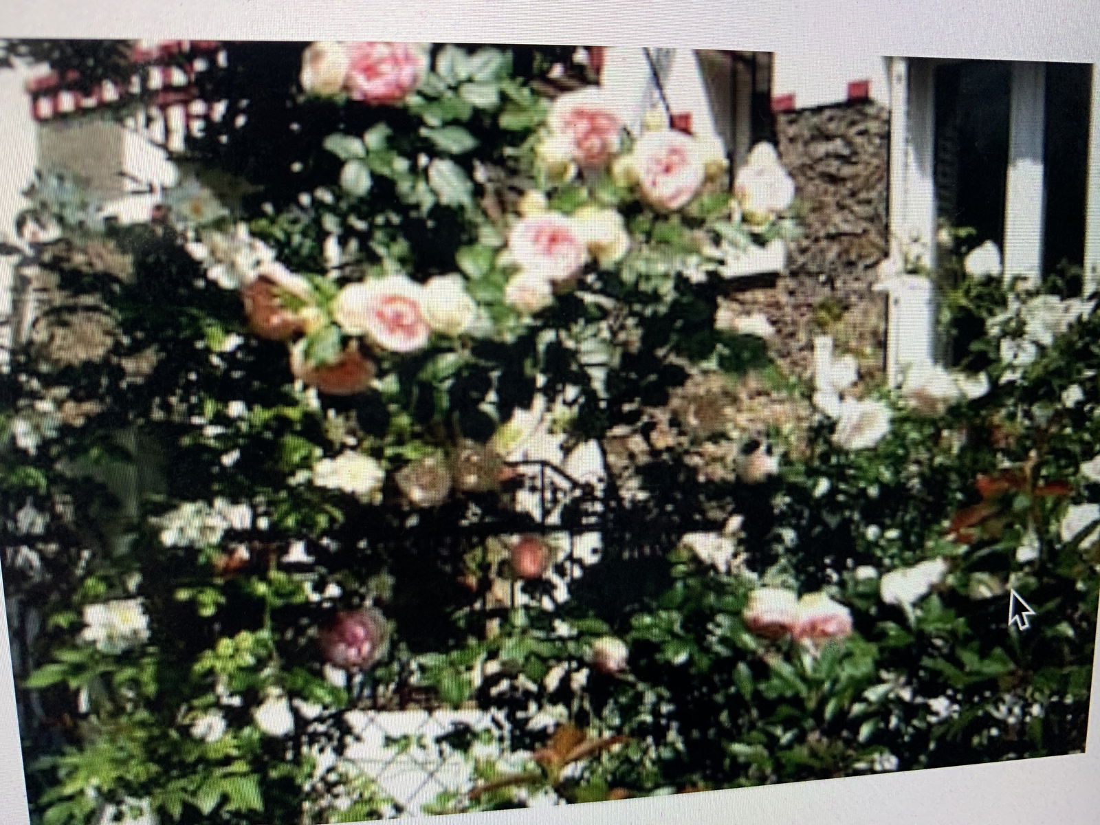 Homestay Paris 256283