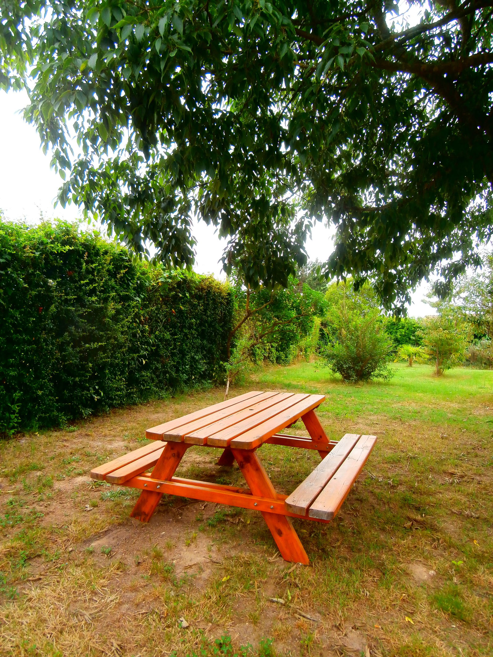 Gastfamilie Labastide-Saint-Pierre 68036