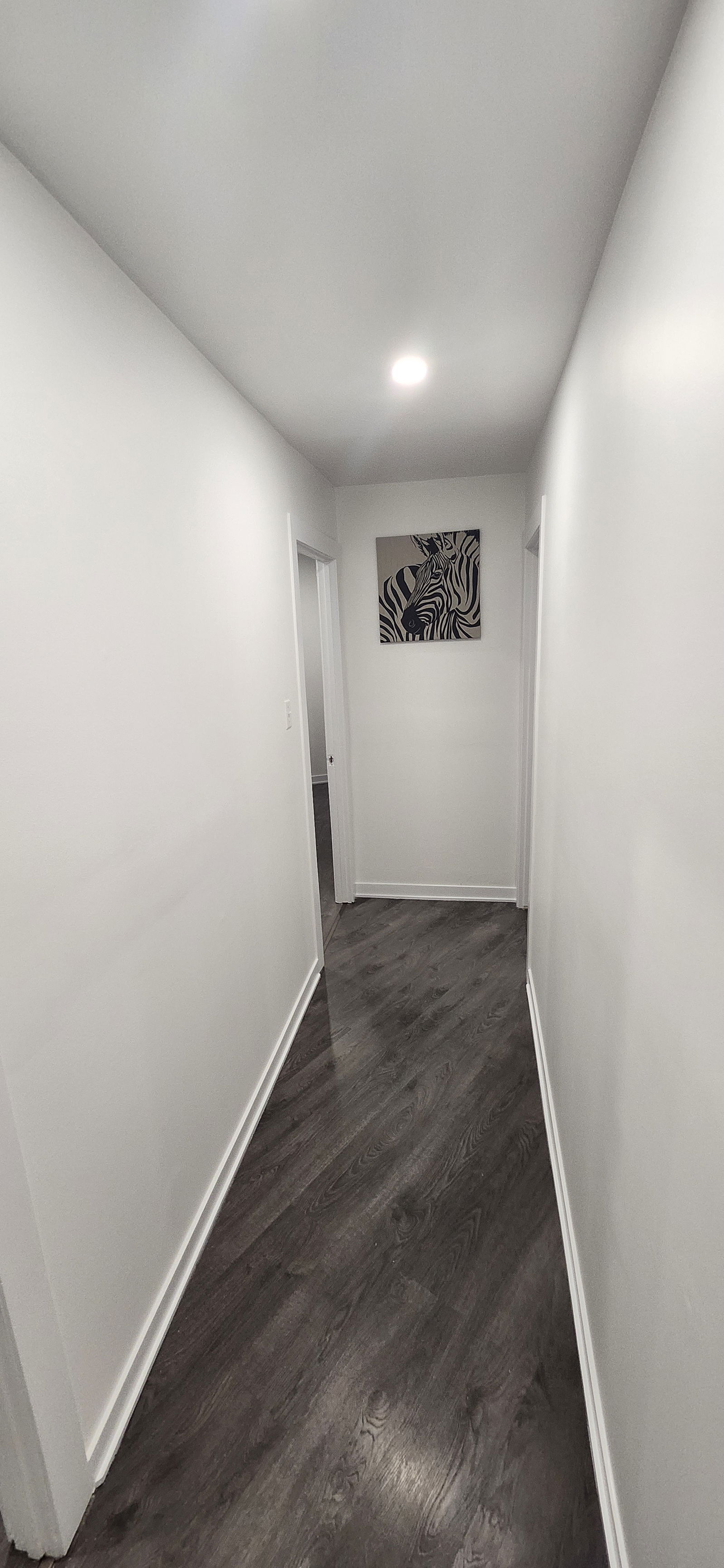 Unabhängiges Studio Laval 265272