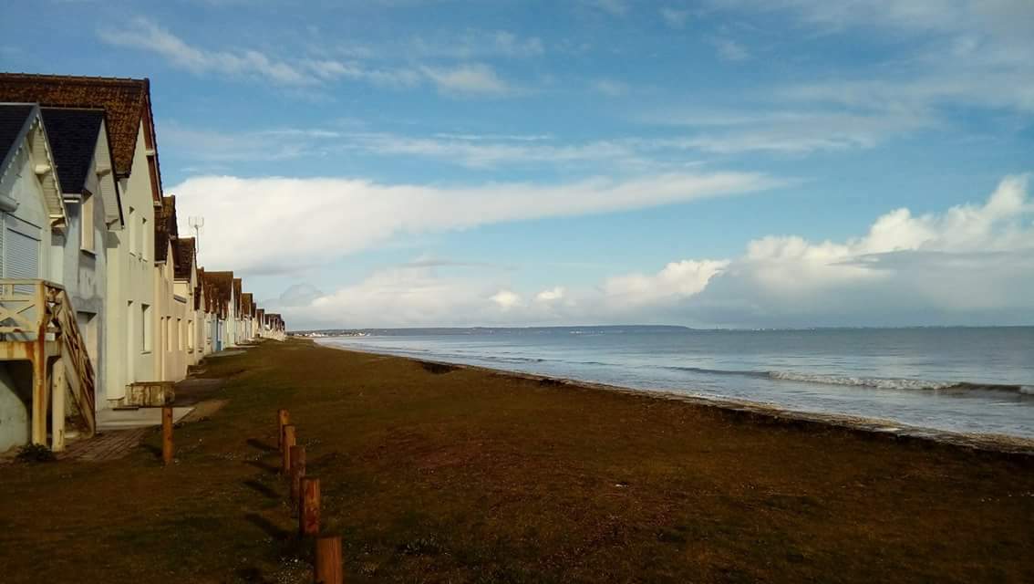 Unabhängiges Studio Ravenoville 48698