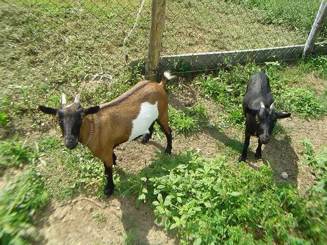 Unabhängiges Studio Villeréal 79466