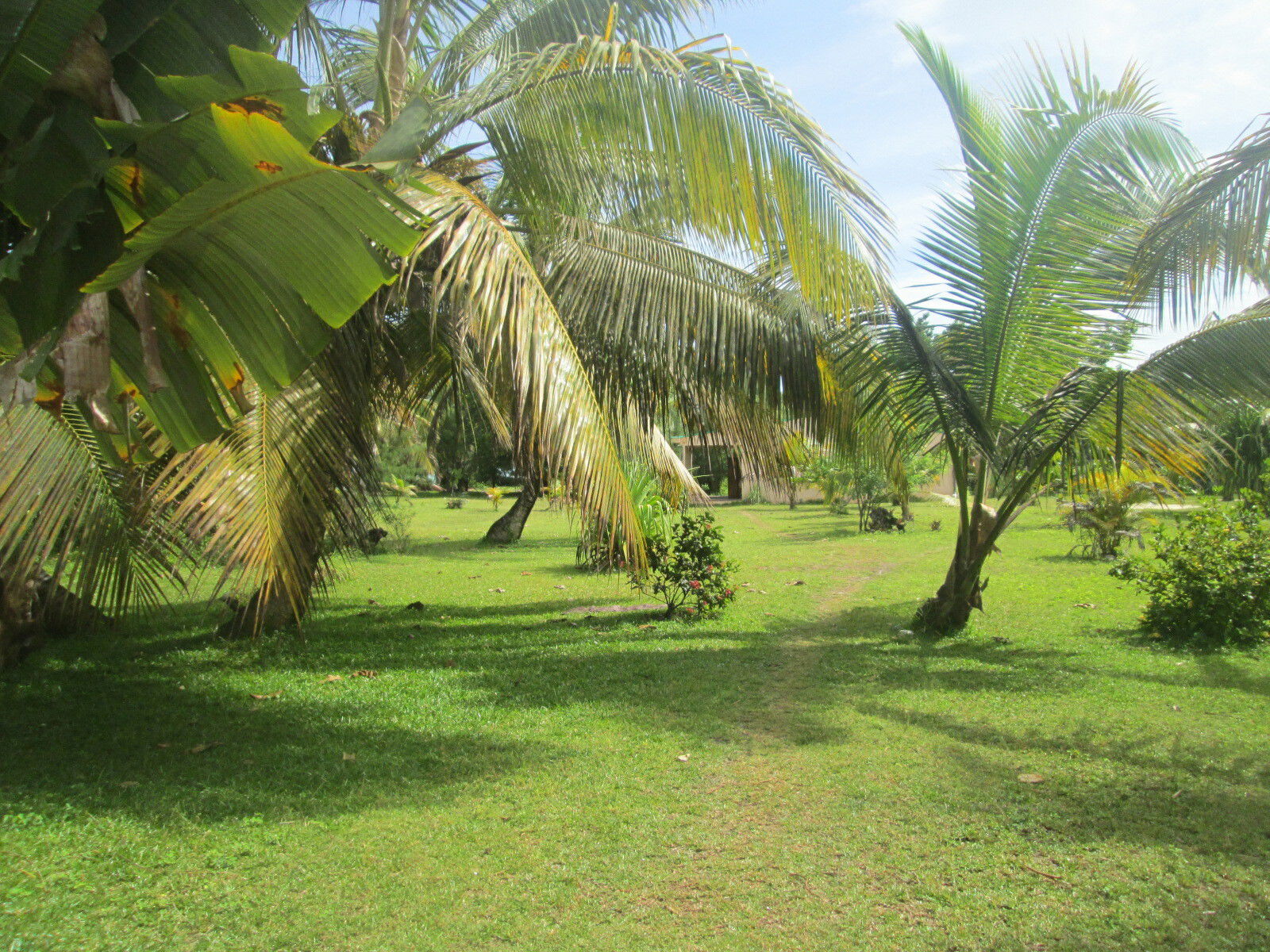 Gastfamilie Province de Tamatave 164536