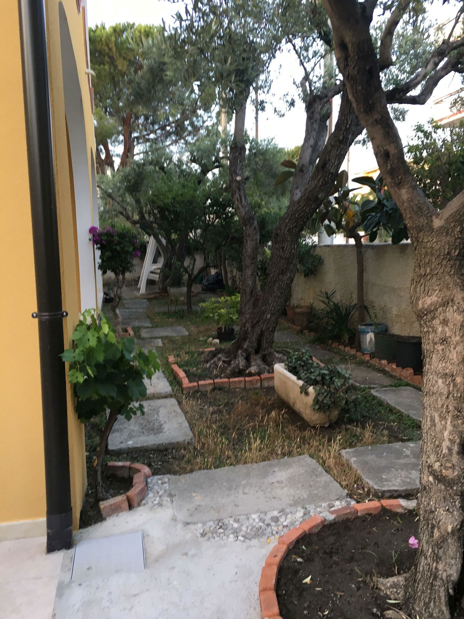 Unabhängiges Studio Tonnarella 193257