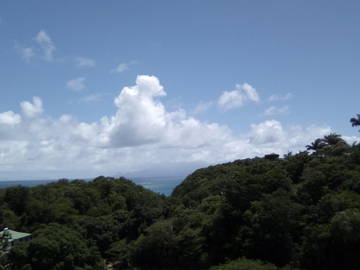 Homestay Le Gosier 433170-7