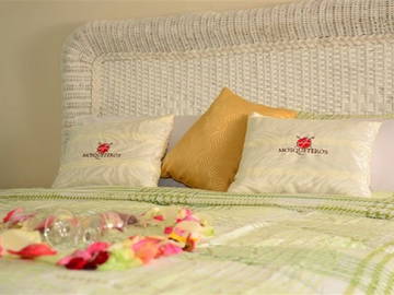 Bed And Breakfast La Habana 197247-6