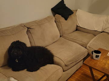 Colocation Montréal 659905-8