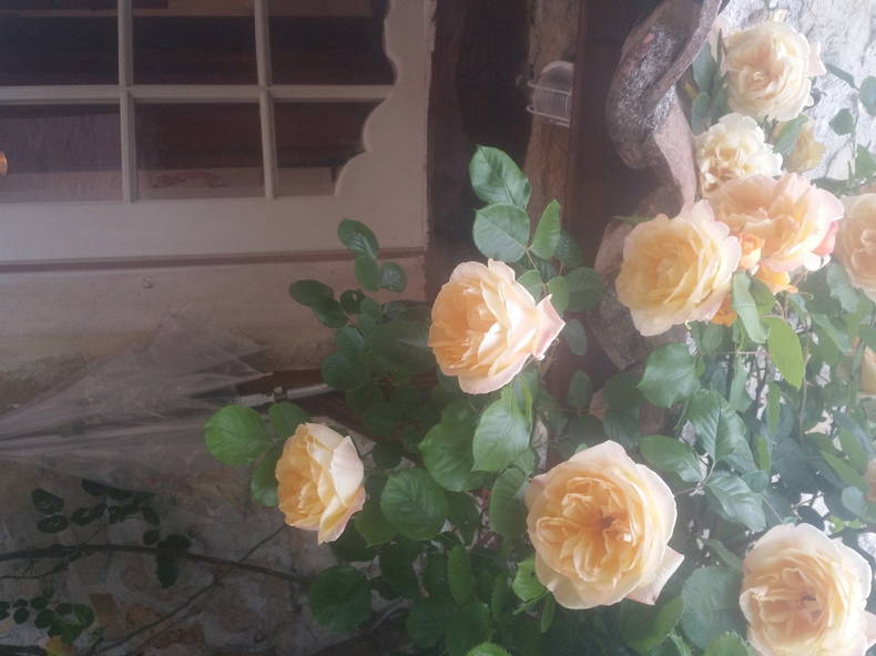 Homestay Cantaron 143695-4